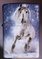 /album/galerie-de-photos-galerie-photos-mazzi/horse-winter-jpg/